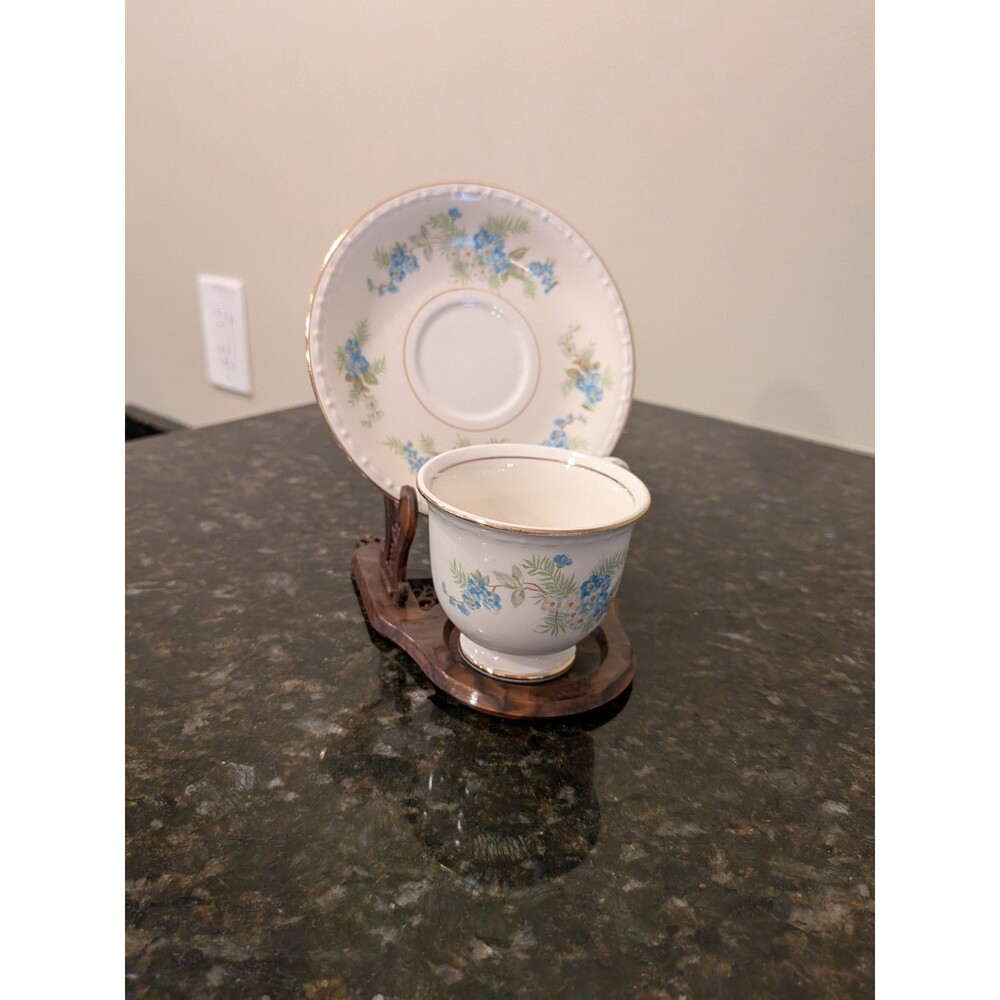 Homer Laughlin Eggshell Georgian Blue Floral Plate & Tea Cup China Set